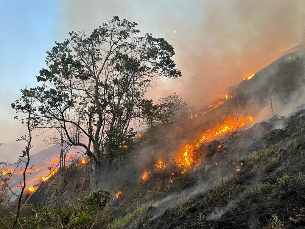 Governo divulga planejamento para enfrentar incêndios em 2026